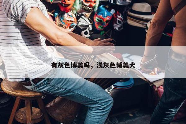 有灰色博美吗，浅灰色博美犬