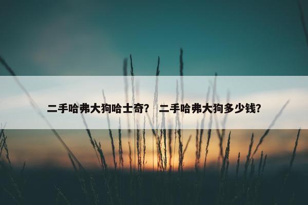 二手哈弗大狗哈士奇？ 二手哈弗大狗多少钱？