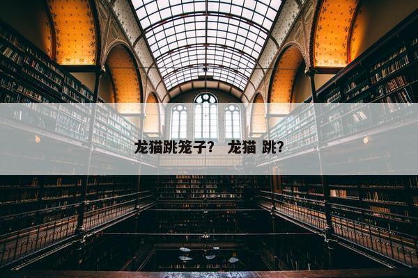 龙猫跳笼子？ 龙猫 跳？
