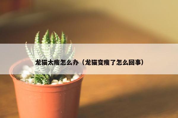 龙猫太瘦怎么办（龙猫变瘦了怎么回事）