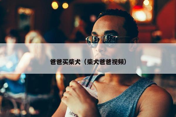 爸爸买柴犬（柴犬爸爸视频）