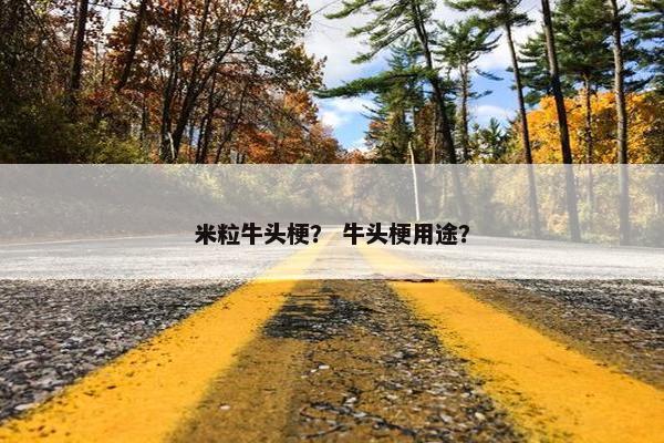 米粒牛头梗？ 牛头梗用途？