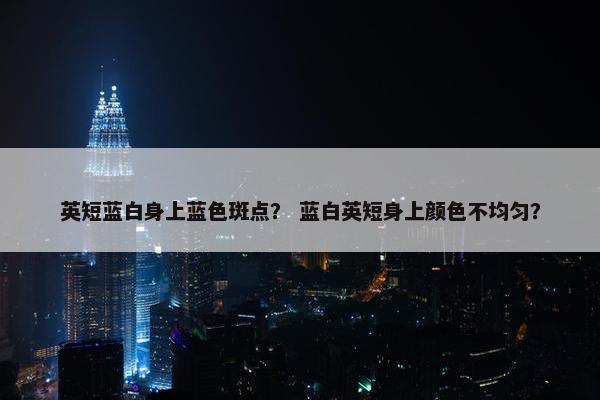 英短蓝白身上蓝色斑点？ 蓝白英短身上颜色不均匀？