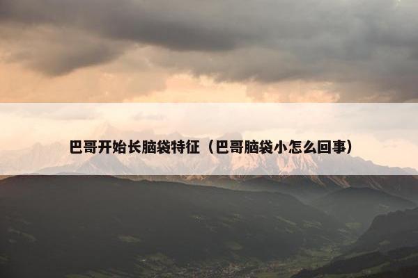 巴哥开始长脑袋特征（巴哥脑袋小怎么回事）