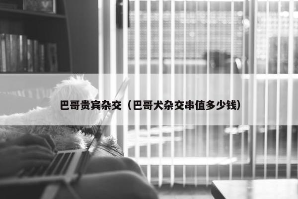 巴哥贵宾杂交（巴哥犬杂交串值多少钱）
