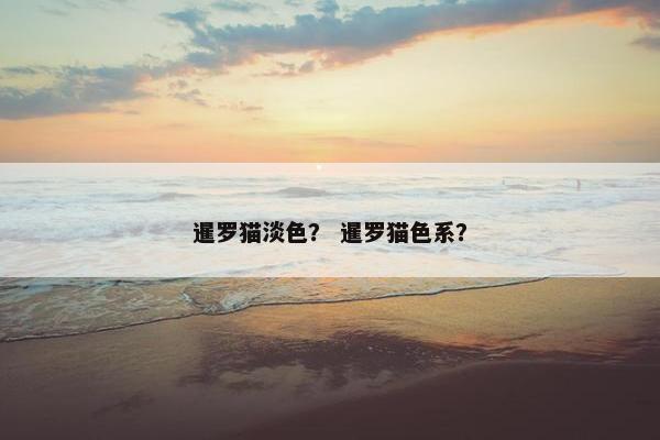 暹罗猫淡色？ 暹罗猫色系？
