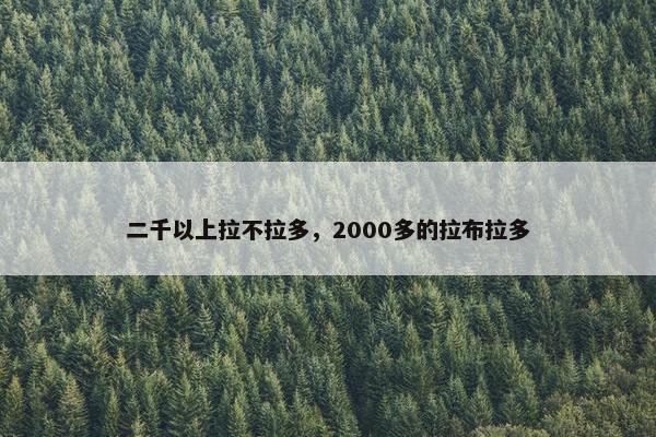 二千以上拉不拉多，2000多的拉布拉多