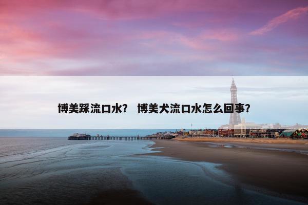 博美踩流口水？ 博美犬流口水怎么回事？