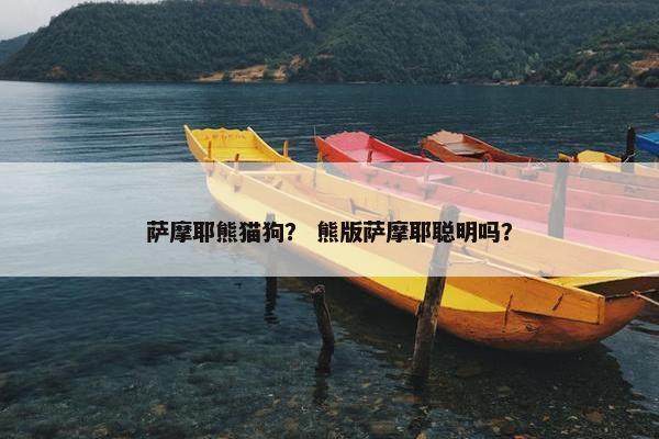 萨摩耶熊猫狗？ 熊版萨摩耶聪明吗？
