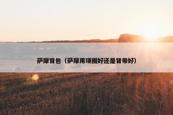 萨摩背包（萨摩用项圈好还是背带好）