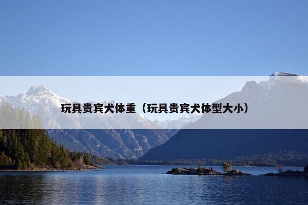 玩具贵宾犬体重（玩具贵宾犬体型大小）