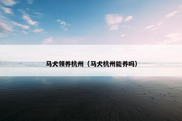马犬领养杭州（马犬杭州能养吗）