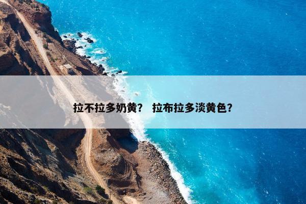 拉不拉多奶黄？ 拉布拉多淡黄色？