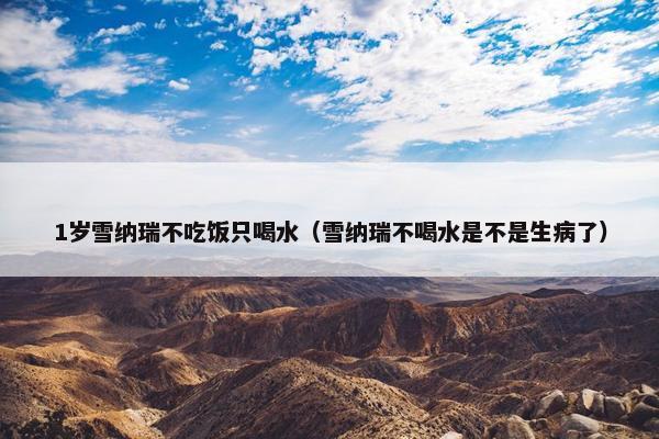 1岁雪纳瑞不吃饭只喝水（雪纳瑞不喝水是不是生病了）