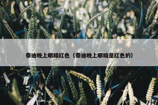 泰迪晚上眼睛红色（泰迪晚上眼睛是红色的）