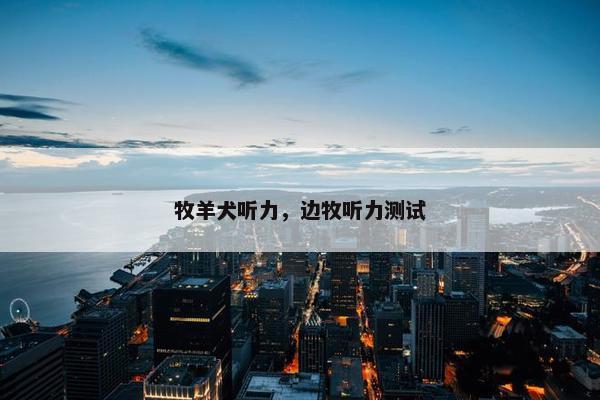 牧羊犬听力，边牧听力测试