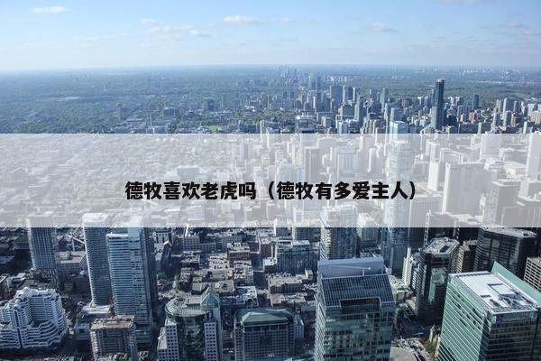 德牧喜欢老虎吗（德牧有多爱主人）