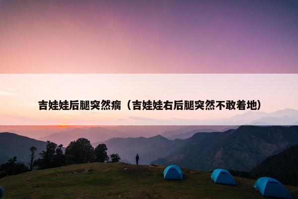 吉娃娃后腿突然瘸（吉娃娃右后腿突然不敢着地）