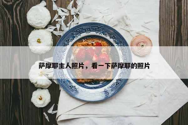 萨摩耶主人照片，看一下萨摩耶的照片