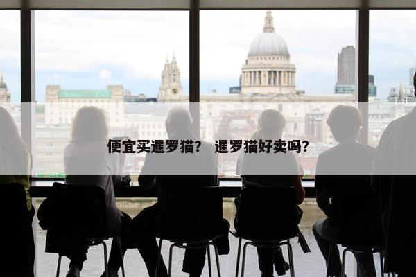 便宜买暹罗猫？ 暹罗猫好卖吗？