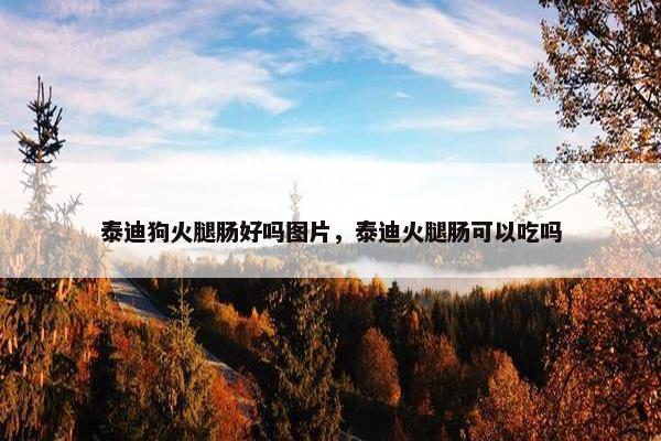 泰迪狗火腿肠好吗图片，泰迪火腿肠可以吃吗