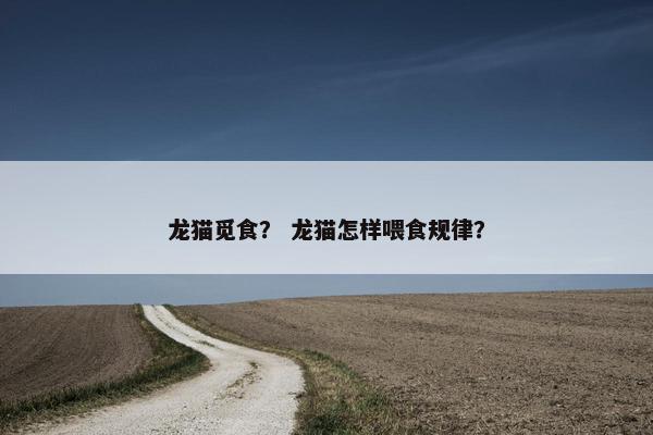 龙猫觅食？ 龙猫怎样喂食规律？