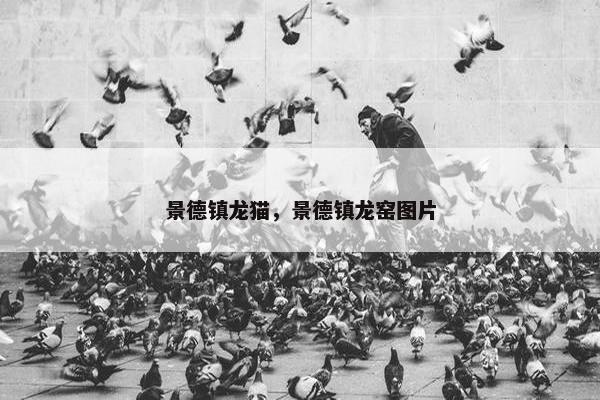 景德镇龙猫，景德镇龙窑图片