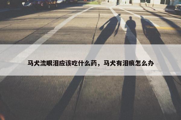 马犬流眼泪应该吃什么药，马犬有泪痕怎么办