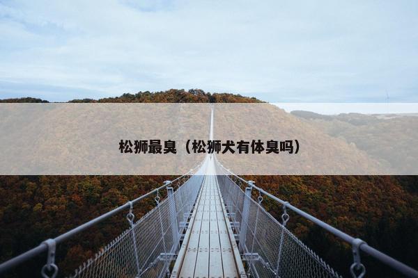 松狮最臭（松狮犬有体臭吗）