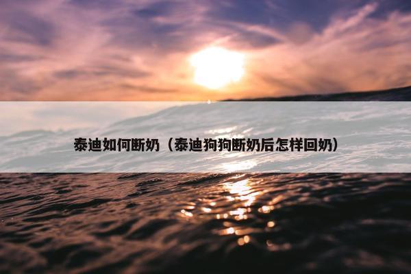 泰迪如何断奶（泰迪狗狗断奶后怎样回奶）
