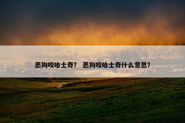 恶狗咬哈士奇？ 恶狗咬哈士奇什么意思？
