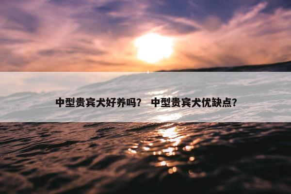 中型贵宾犬好养吗？ 中型贵宾犬优缺点？