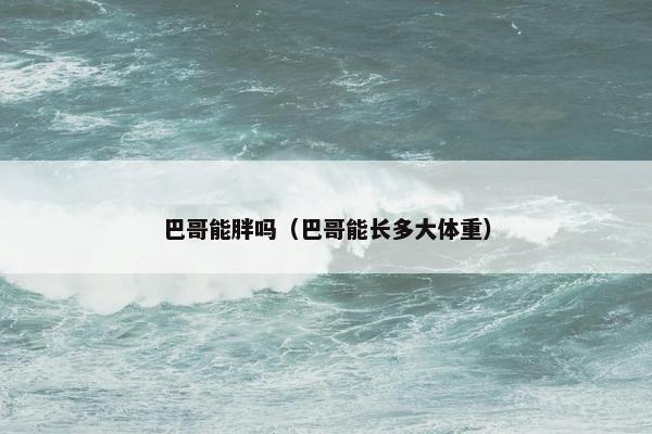 巴哥能胖吗（巴哥能长多大体重）