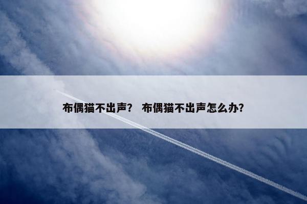 布偶猫不出声？ 布偶猫不出声怎么办？