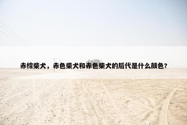 赤棕柴犬，赤色柴犬和赤色柴犬的后代是什么颜色?