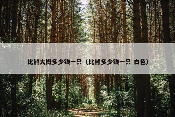 比熊大概多少钱一只（比熊多少钱一只 白色）