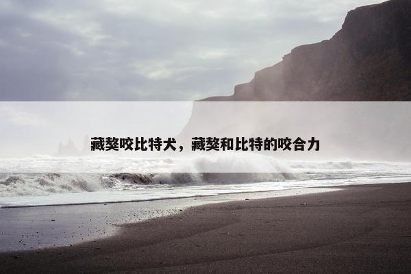 藏獒咬比特犬，藏獒和比特的咬合力