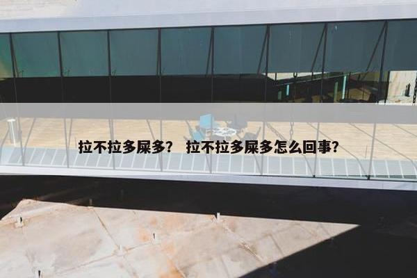 拉不拉多屎多？ 拉不拉多屎多怎么回事？