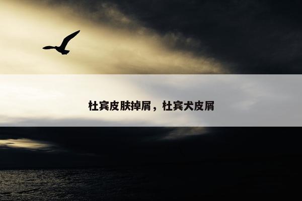 杜宾皮肤掉屑，杜宾犬皮屑