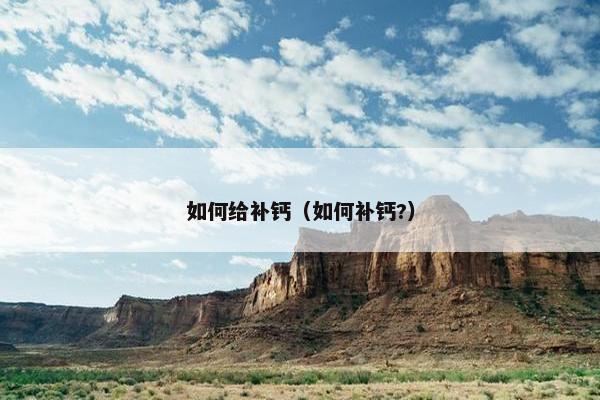 如何给补钙（如何补钙?）