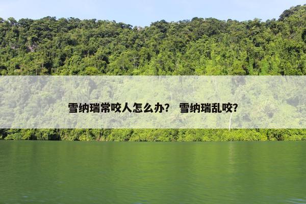 雪纳瑞常咬人怎么办？ 雪纳瑞乱咬？