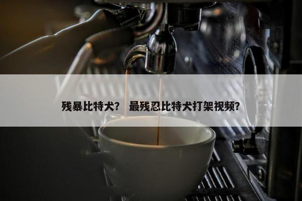 残暴比特犬？ 最残忍比特犬打架视频？