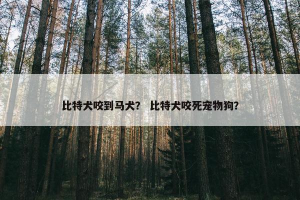 比特犬咬到马犬？ 比特犬咬死宠物狗？