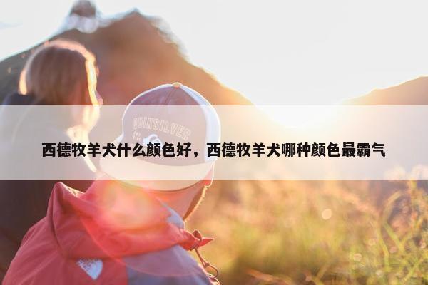 西德牧羊犬什么颜色好，西德牧羊犬哪种颜色最霸气