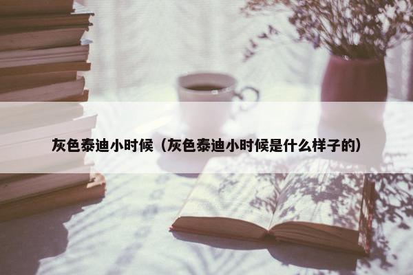 灰色泰迪小时候（灰色泰迪小时候是什么样子的）