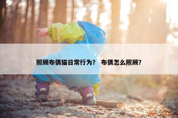 照顾布偶猫日常行为？ 布偶怎么照顾？