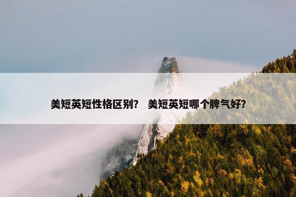 美短英短性格区别？ 美短英短哪个脾气好？