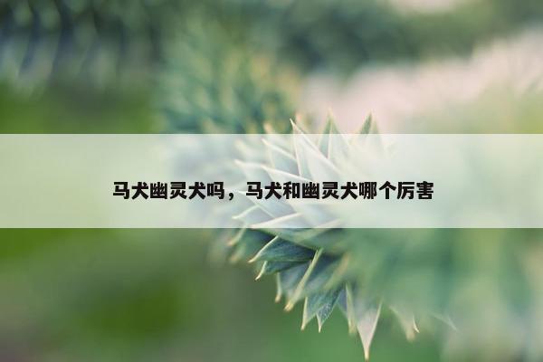 马犬幽灵犬吗，马犬和幽灵犬哪个厉害