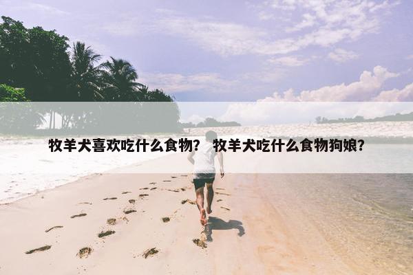 牧羊犬喜欢吃什么食物？ 牧羊犬吃什么食物狗娘？