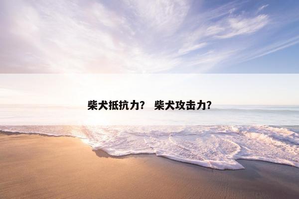 柴犬抵抗力？ 柴犬攻击力？